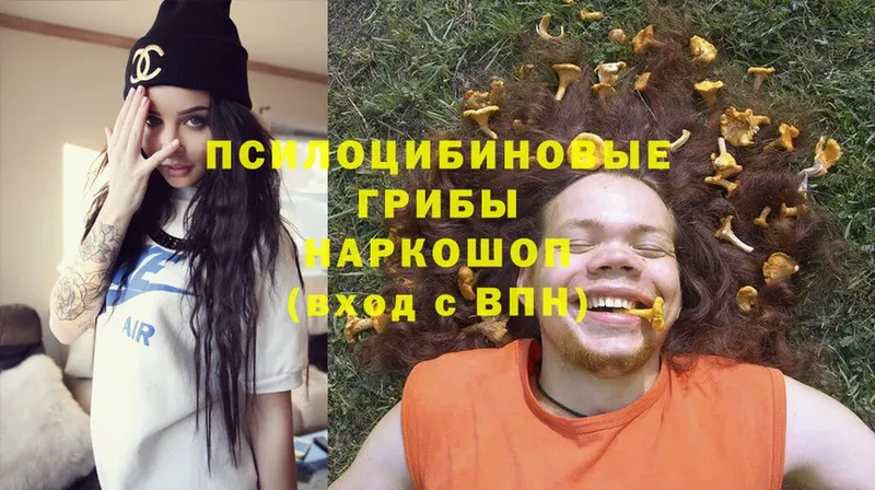 Галлюциногенные грибы Psilocybe  hydra зеркало  Хасавюрт 